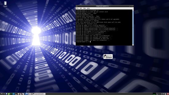 raspex-wicd-install-small